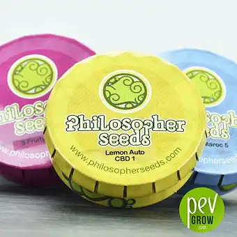 Lemon Auto CBD Package - Philosopher Seeds