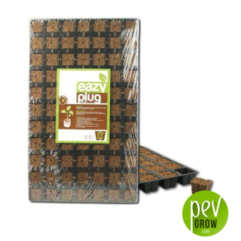 Bandeja Dried Eazy Plugs 77 alveolos