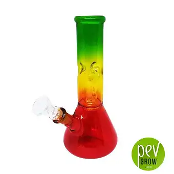 Rasta percolator bong
