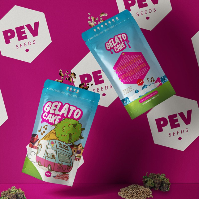 Gelato Cake - PEV Seeds
