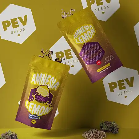 Amnesia Lemon - PEV Seeds