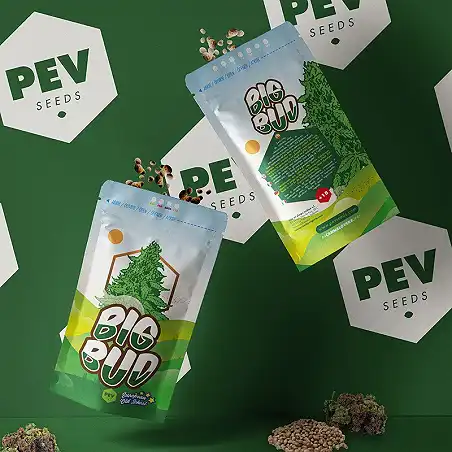 Big Bud - PEV Seeds