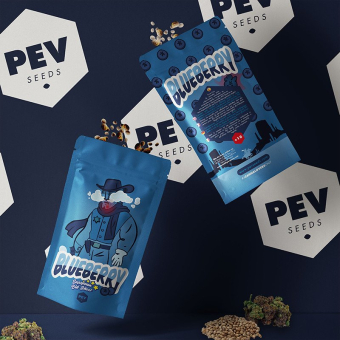 Blueberry - PEV Seeds