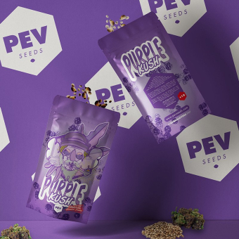 Purple Kush - PEV Seeds