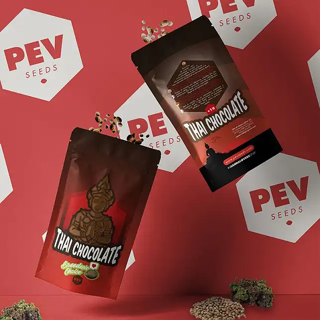 Thay Chocolate 2019 - PEV Seeds Thay Chocolate 2019 - PEV Seeds
