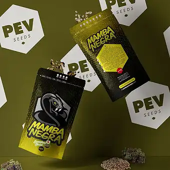 Mamba Negra Auto - PEV Seeds