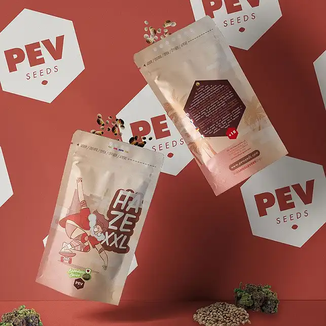 Haze XXL Auto - PEV Seeds Haze XXL Auto - PEV Seeds