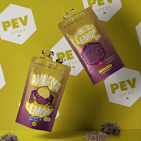 Amnesia Lemon Auto - PEV Seeds
