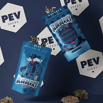 Blueberry Auto - PEV Seeds