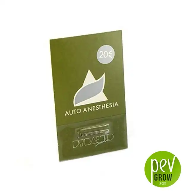Anesthesia Auto package - Pyramid Seeds
