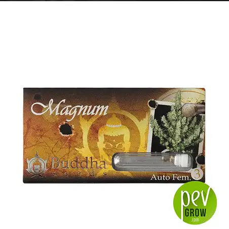Magnum Auto package - Buddha Seeds