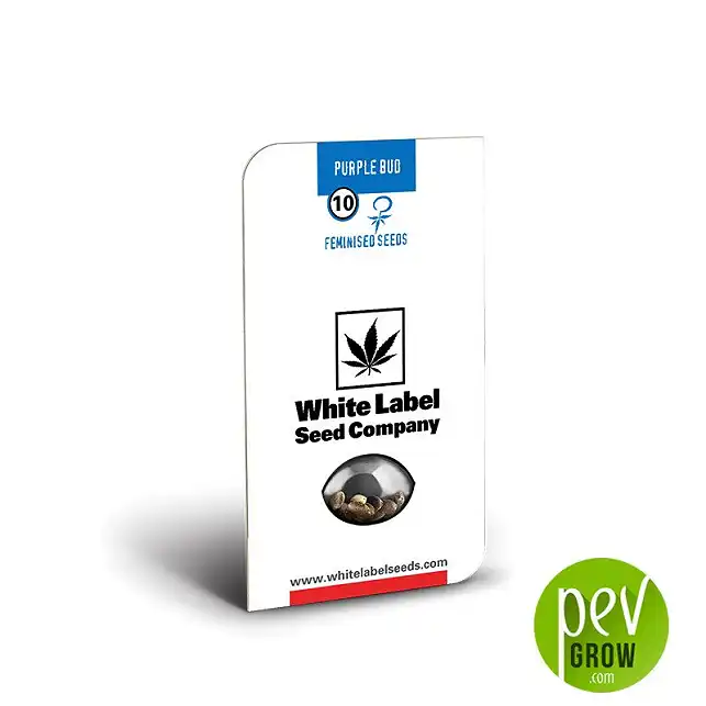 Purple Bud package White Label Sensi Seeds