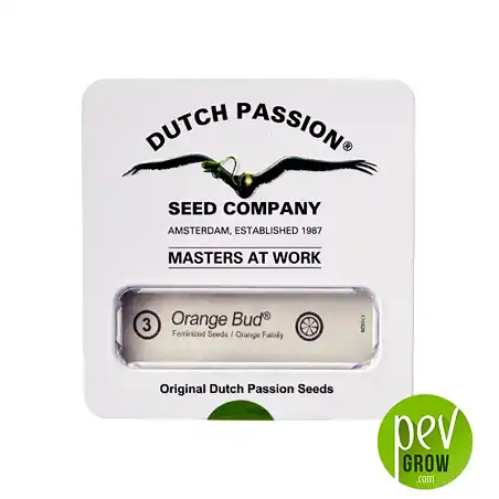 Orange Bud package - Dutch Passion