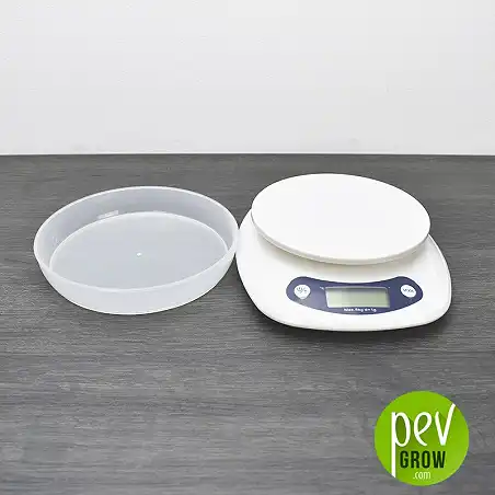 Scale On Balance