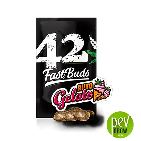 Gelato Auto - Fast Buds package - FastBuds