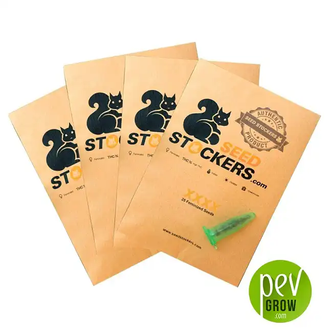 Amnesia - Seedstockers package - Seed Stockers