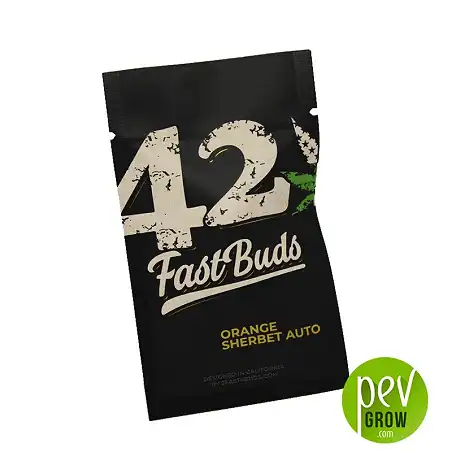 Orange Sherbert Auto - Fast Buds package - FastBuds