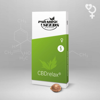 CBDrelax - Paradise Seeds