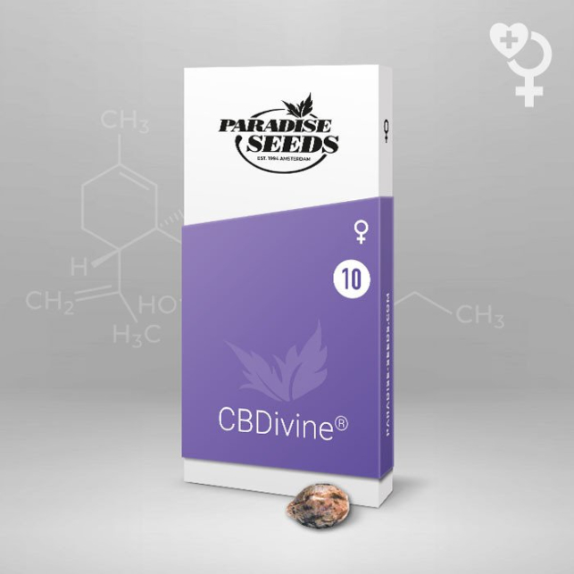 CBDivine - Paradise Seeds