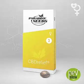 CBD Relief - Paradise Seeds