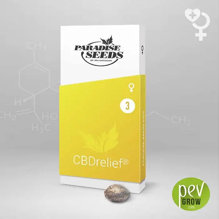 CBD Relief - Paradise Seeds