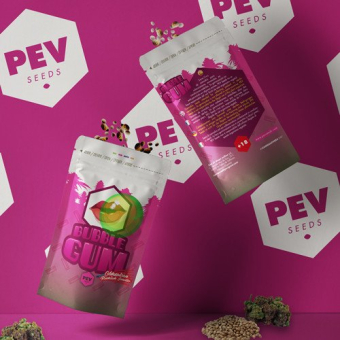 Bubble Gum - PEV Seeds 1