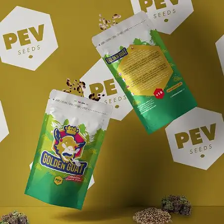 Golden Goat - PEV Seeds 1