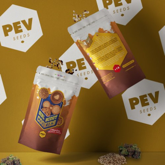 Girl Scout Cookies - PEV Seeds