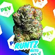 Runtz Auto - PEV Seeds