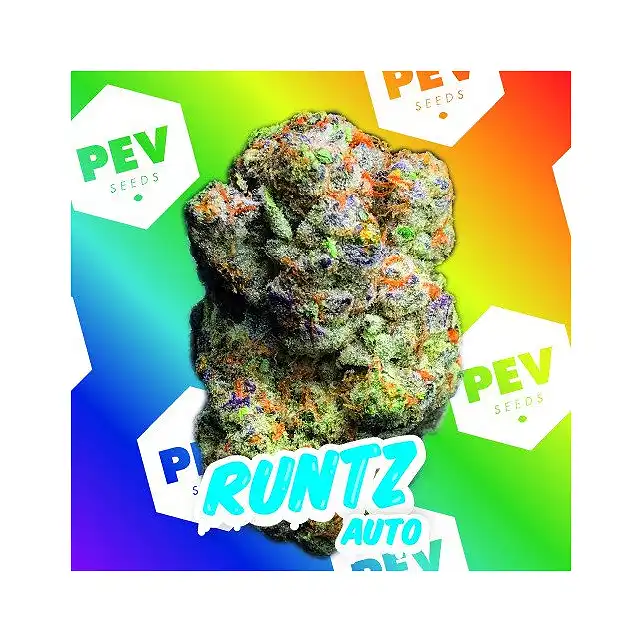 Runtz Auto - PEV Seeds