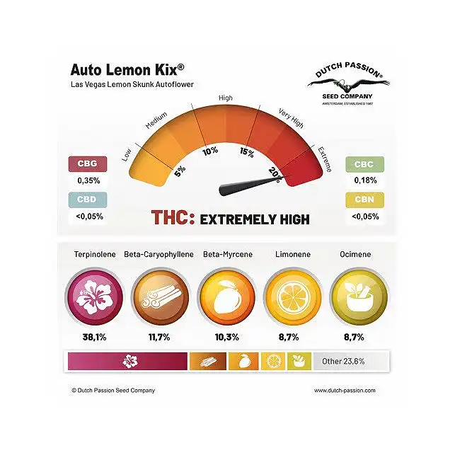 Auto Lemon Kix - Dutch Passion