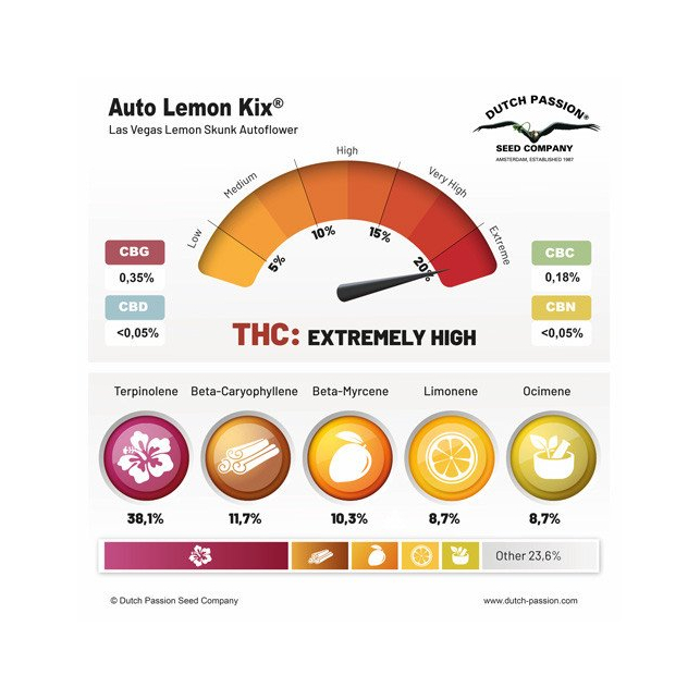 Auto Lemon Kix