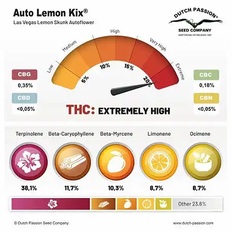 Auto Lemon Kix - Dutch Passion