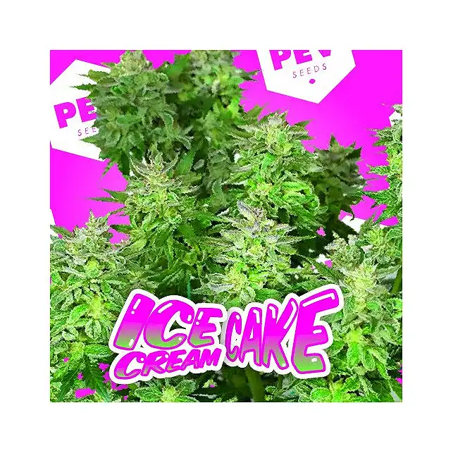 Ice Cream Cake - PEV Seeds