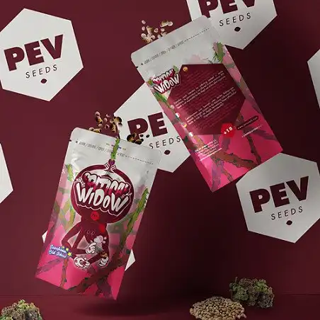 Critical Widow - PEV Seeds 1
