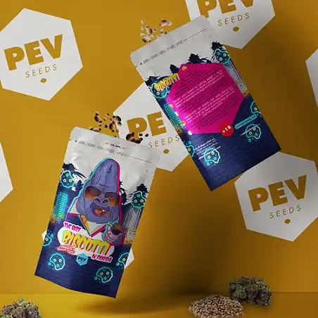 Biscotti - PEV Seeds