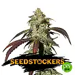 CBD Northern Lights - Seed Stockers