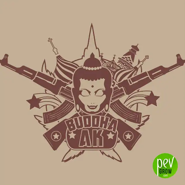 Buddha AK Classic - Buddha Seeds