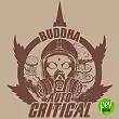 Buddha Auto Critical - Buddha Seeds