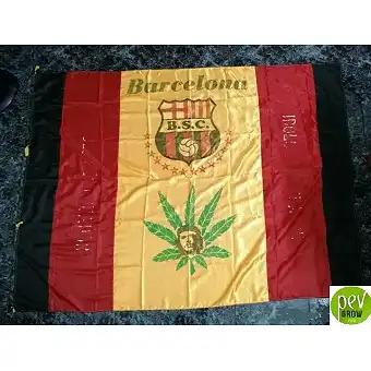 Bandiera del Barcelona...