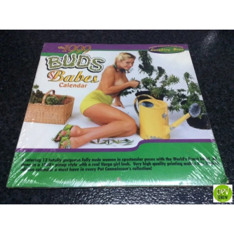 Calendario Buds Babes Calendar de 1999