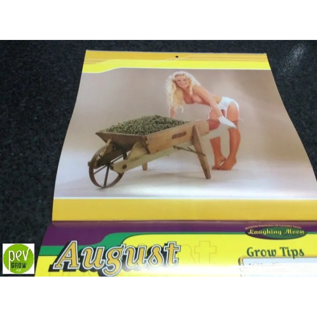Calendario Buds Babes Calendar de 1999