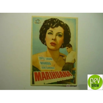 Postcard from the film marihuana 1950 - León Klimovsky