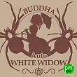 Buddha Auto White Widow - Buddha Seeds