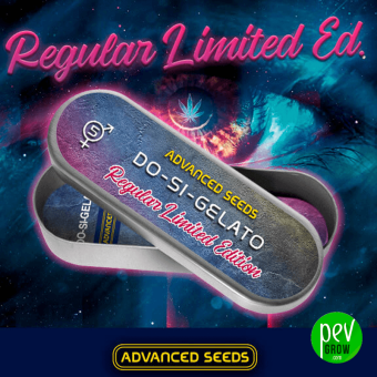 Do-Si-Gelato - Advanced Seeds