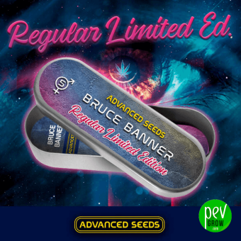Bruce Banner Advanced Seeds