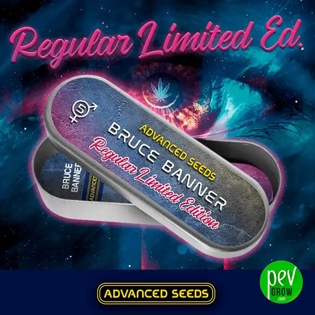 Bruce Banner - Advanced Seeds Bruce Banner - Advanced Seeds
