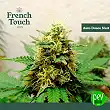 Auto Douce Nuit - French Touch Seeds Auto Douce Nuit - French Touch Seeds