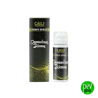 Terps Spray - Cali Terpenes - Amnesia