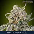 Auto Somango Glue - Advanced Seeds